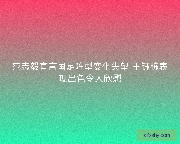 范志毅直言国足阵型变化失望 王钰栋表现出色令人欣慰