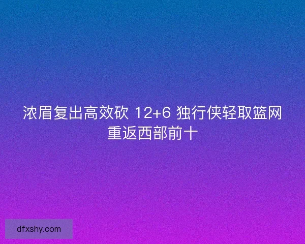 浓眉复出高效砍 12+6 独行侠轻取篮网重返西部前十